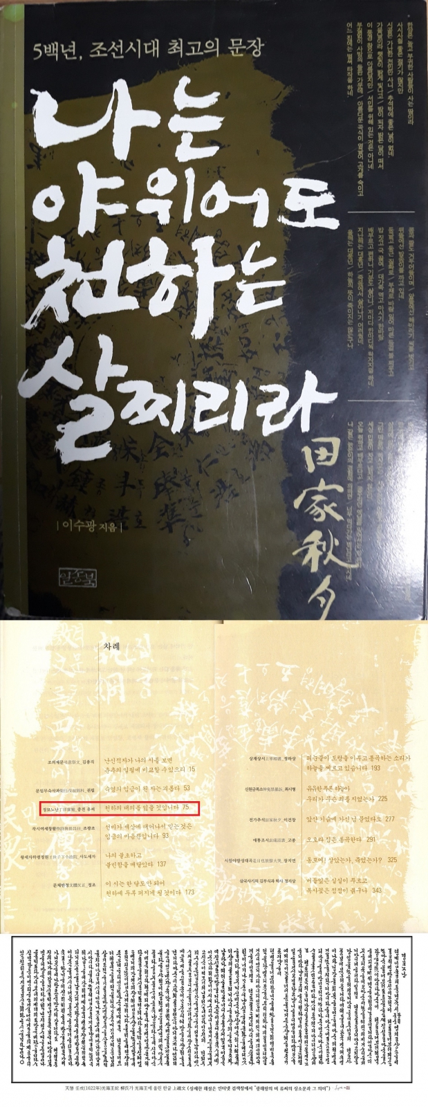 사진