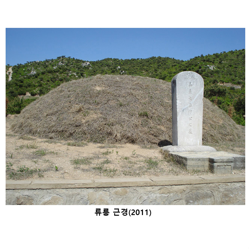 류릉근경2011.jpg